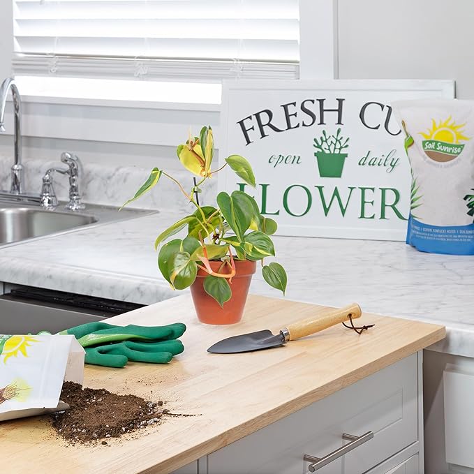 Tropical House Plant Potting Mix (8 Quarts); for All Types of Indoor House Plants