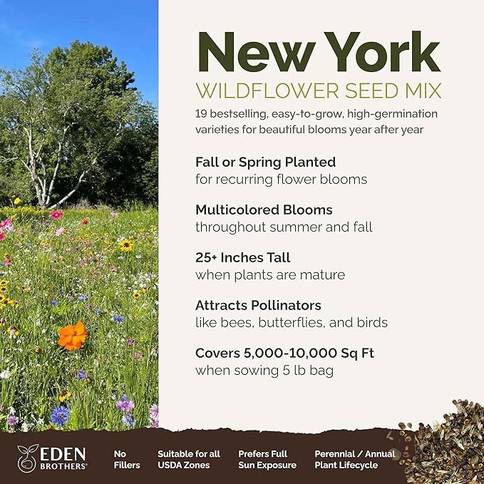 Eden Brothers New York Wildflower Mixed Seeds for Planting, 5 lbs, 2,400,000+ Seeds with Coneflower, Cosmos | Attracts Pollinators, Plant in Spring or Fall, Zones