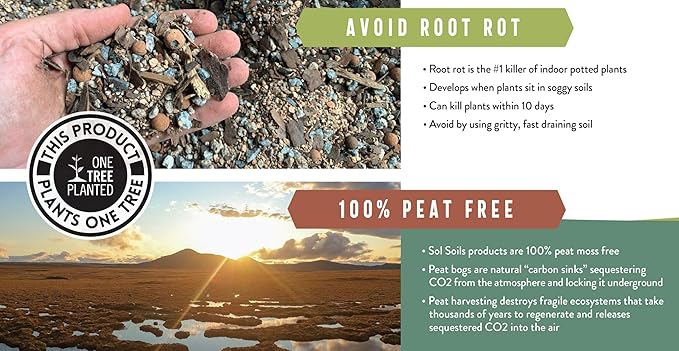 Cactus Gritty Mix - 2 Quarts