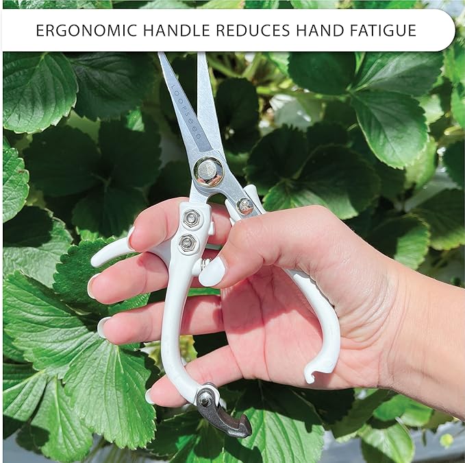 Plant Pruning Shears Garden Trimming Scissors Precision Hand Pruner Herb Snips Flower Clippers Bonsai Trimmers Straight Sharp Blade Tapered Tip Ergonomic Handle Modern Garden Tools