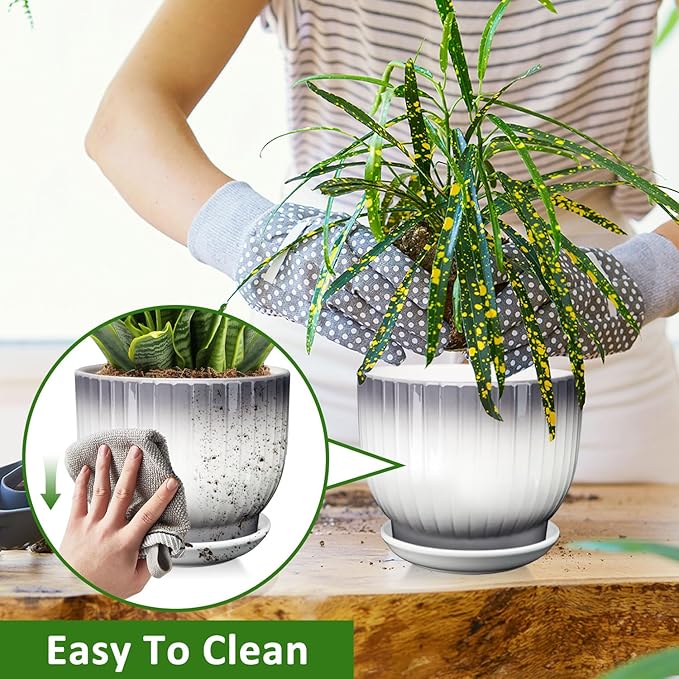 6.7 + 5.5 Inch Plant Pot, Ceramic Planter with Drainage and Saucer, Ceramic Pots for Plants, Indoor Plant pots,Ceramic Flower pots(Gray + White, Plants NOT Included)