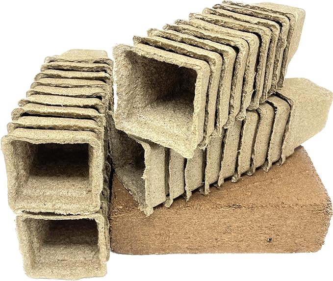 Seed Needs, Basil Seed Packet Collection Seed Starting Bundle (Includes 8 Individual Seed Packets, 36 Starter Pots & 1 Expandable Coco Coir Brick) Heirloom, Non-GMO & Untreated