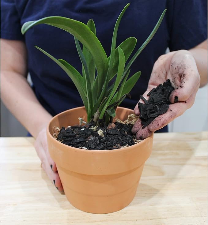 Horticultural Charcoal for Indoor Plants (30 Quarts), Hardwood Soil Additive for Orchids, Terrariums, and Gardening