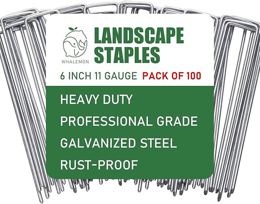 100 Pack Landscape Staples 6 Inches 11 Gauge Stakes, Galvanized Garden Stakes U-Shaped Pins and Landscaping Staples for Sod Anchoring Landscape Fabric Irrigation Tubing