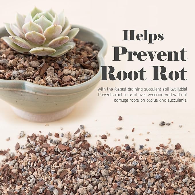 Bonsai Succulent and Cactus Soil - Jacks Gritty Mix #111 - Fast Draining – Fights Root Rot – Optimized pH (1/2 Gallon / 2 Dry Quarts)