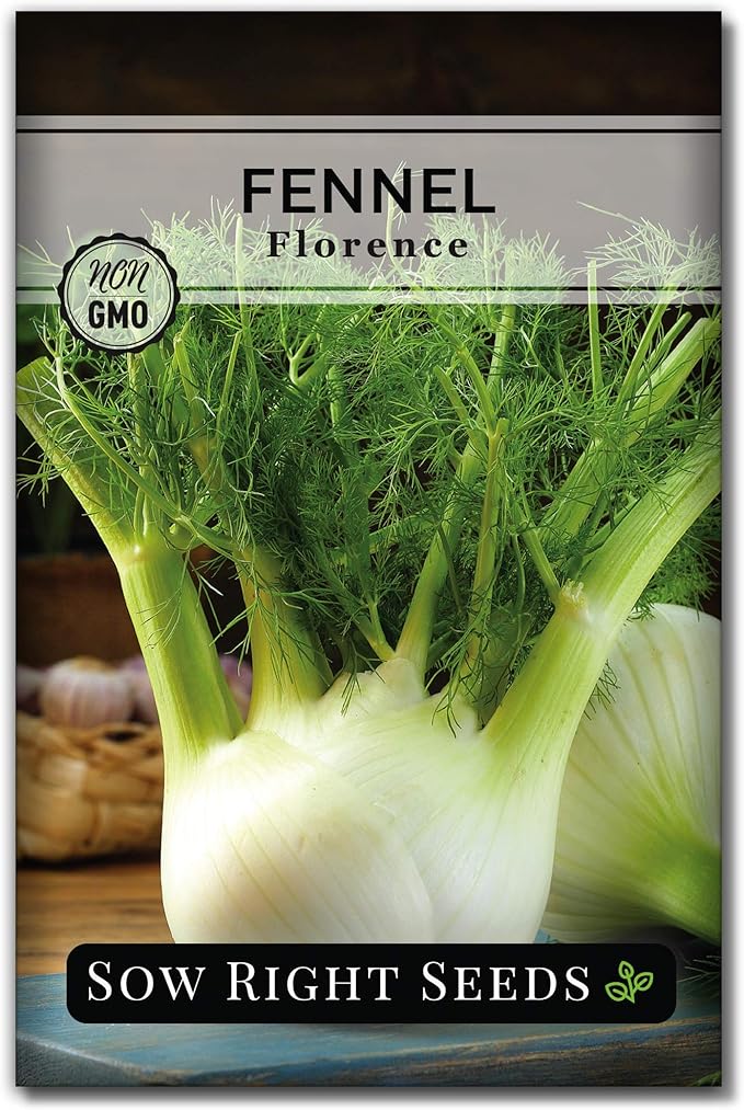 Sow Right Seeds - Florence Fennel Seed for Planting - Non-GMO Heirloom Packet with Instructions to Plant and Grow in Your Herbal Garden - Great for Seasoning and Cooking - Attract Pollinators (1)