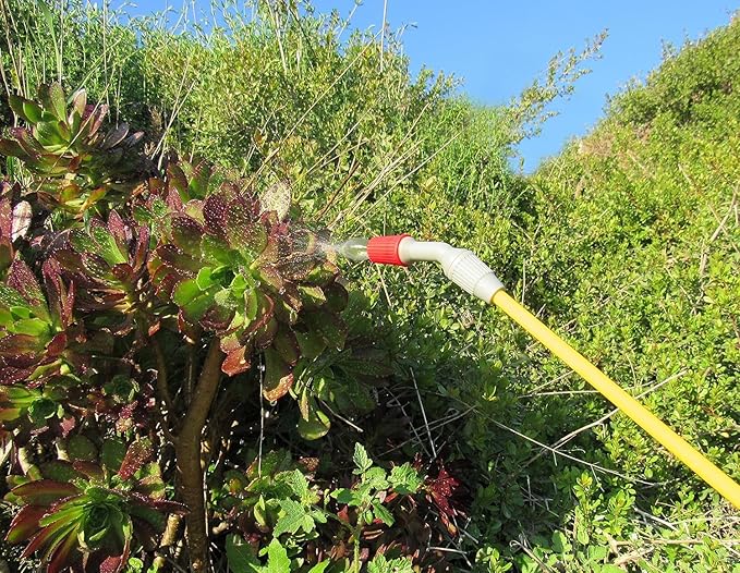 TABOR TOOLS 1.3 Gallon sparayer for Lawn and Garden. Pump Pressure with Pressure Relief Valve, Adjustable Shoulder Strap, and Adjustable Wand Nozzle. N50A