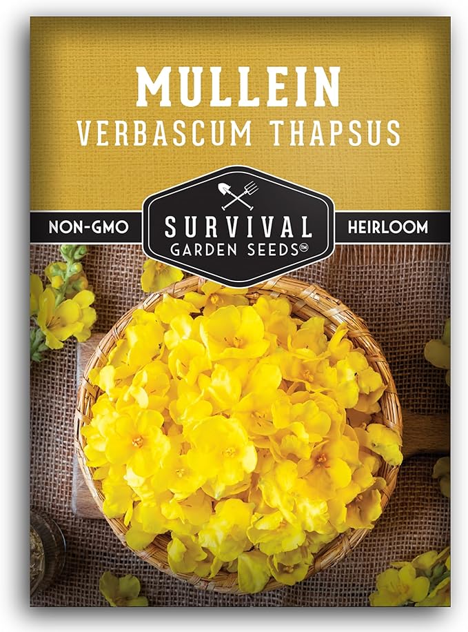 Mullein Seed for Planting - 1 Packet with Instructions to Plant and Grow Medicinal Herb Common Mullein in Your Home Vegetable Garden - Non-GMO Heirloom Variety - Survival Garden Seeds