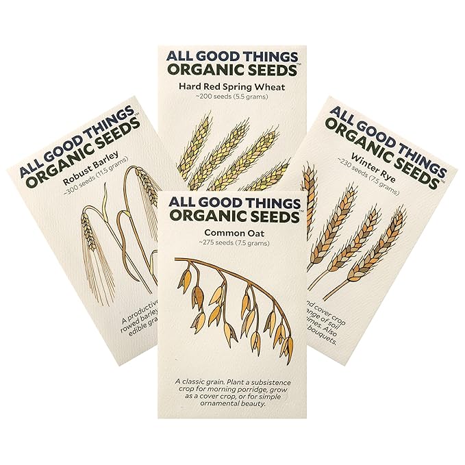 All Good Things Organic Great Grains Seed Collection - 4 Packets - Barley, Oat, Wheat, Rye Pack of 600 Heirloom Seeds For Planting Vegetables, Gardening Supplies, Grain, Grass - Non-GMO, From USA