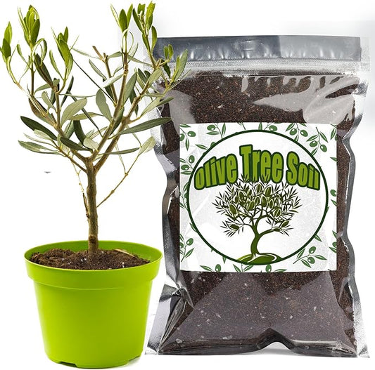 Premium Olive Tree Potting Mix 10qt, Uesed for The Propagation of Olive Trees by Cuttings or Seeds, Suitable for Planting, Repotting, and Growing Houseplant