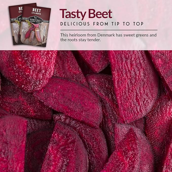 Survival Garden Seeds - Cylindra Beet Seed for Planting - 5 Packs with Instructions to Plant and Grow Dark Red Beets in Your Home Vegetable Garden - Non-GMO Heirloom Variety - Vegetable Seed