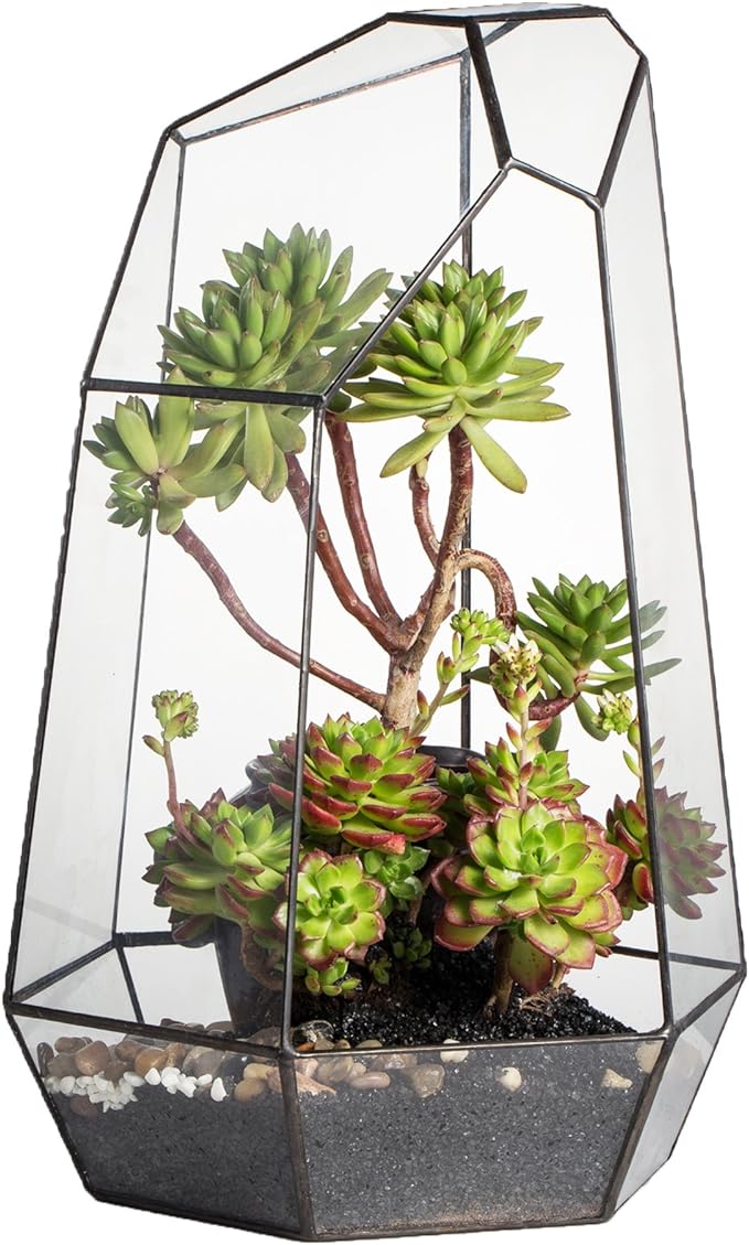NCYP Large Geometric Terrarium - 16 Inches Tall Irregular Open Glass Terrarium Pot - Home Garden Tabletop Decoration Planter for Air Plants Succulents, Handmade (NO Plants, No Door)