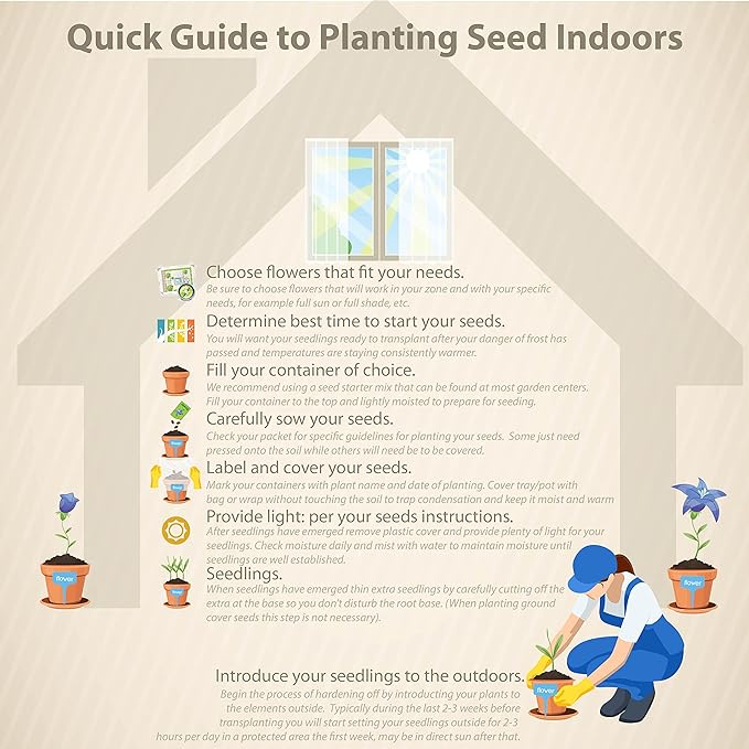 Outsidepride 5000 Seeds Annual Black Mustard Herb Garden Seed for Microgreens, Sprouts, & Cooking