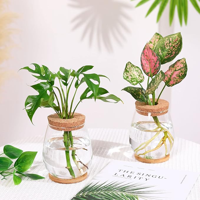 Propagation Stations, 2 Pcs Glass Planters with Wooden Tray & Lid, 5.2x4.2 inches, for Hydroponic Plants, Home Decor, Gardening Gifts for Women