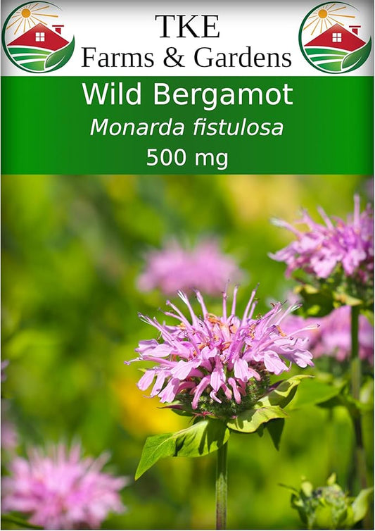 TKE Farms & Gardens - Wild Bergamot Bee Balm Seeds, 1000+ Heirloom Non-GMO Perennial Herb Seeds for Indoor/Outdoor Gardens, Attracts Butterflies & Pollinators, Monarda fistulosa