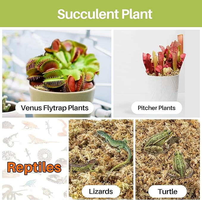 Sukh 10oz Sphagnum Moss for Plants - Sphagnum Peat Moss Natural Long Fibered Dried Moss Potting for Orchids Succulent Carnivorous Potted Plant Reptiles Medium Sarracenia DIY Moss Terrarium Decorations