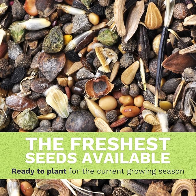 Midwest Regional Mix - Large 1 Ounce Packet - 15,000 Flower Seeds for Planting - Wildflower Mix