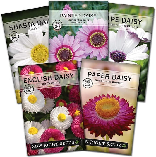 Sow Right Seeds - Daisy Flower Seed Collection for Planting - Attract Pollinators - Beautiful Annual and Perennial Flowers to Plant in Your Home Garden - Non-GMO Heirloom Seeds - Great Gardening Gift