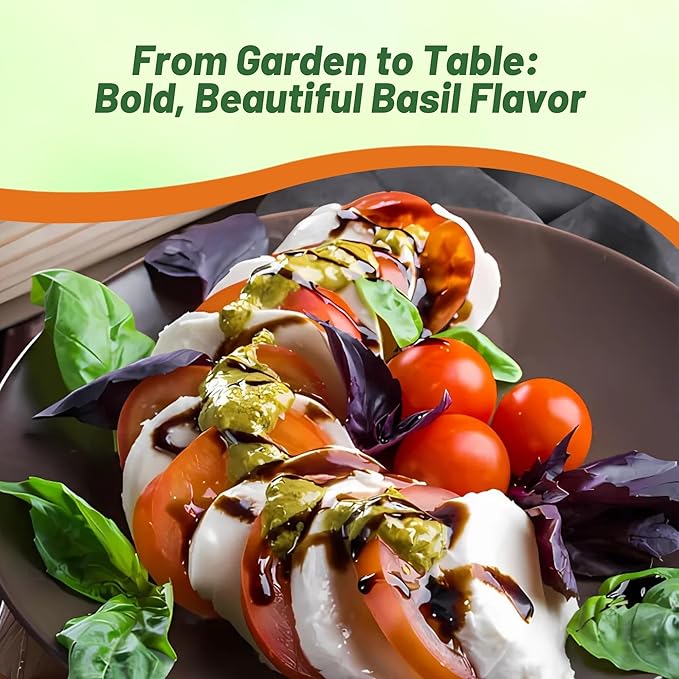 Outsidepride Dark Opal Basil Seeds – 1000 Pieces Annual Purple Basil Herb Seeds, Non-GMO, Ideal for Indoor & Outdoor Gardens, Aromatic Herb Borders for Fresh Flavor & Fragrant Foliage (AAS Winner)