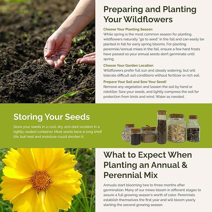 Eden Brothers South Carolina Wildflower Mixed Seeds for Planting, 1 oz, 30,000+ Seeds with WallFlower, Primrose | Attracts Pollinators, Plant in Spring or Fall, Zones