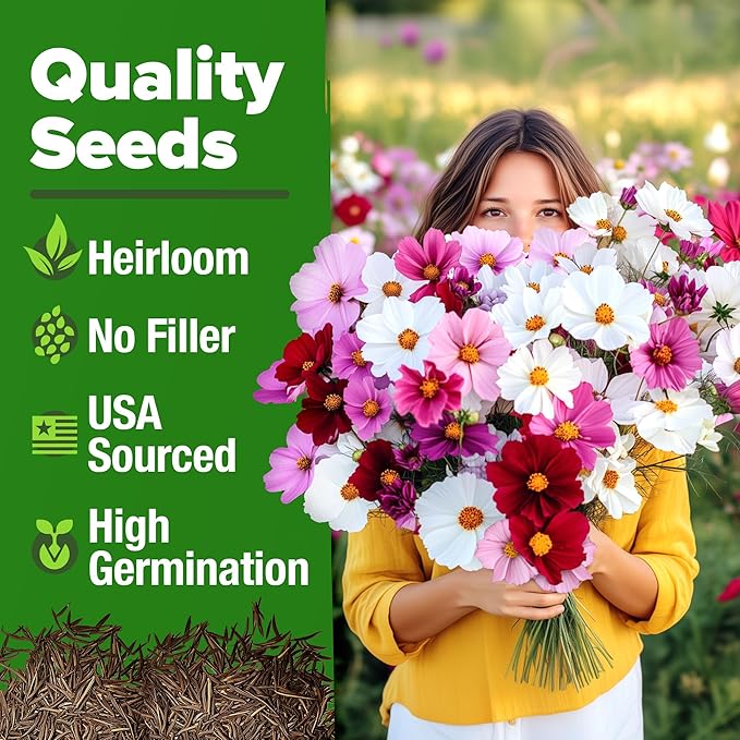 HOME GROWN Cosmos Seeds Bulk Pack (1.8 oz) Annual Flower Seeds for Planting - Heirloom Pollinator Friendly Wildflower Seeds - Grow Cosmo Plant Garden