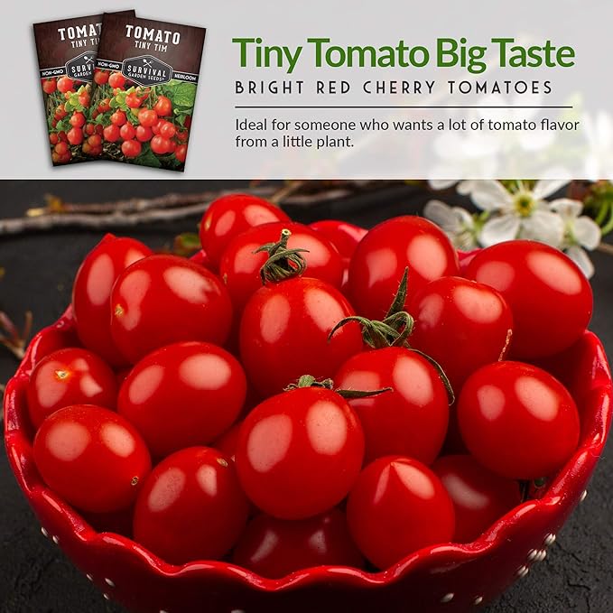 Survival Garden Seeds - Tiny Tim Tomato Seeds for Planting - 2 Packs with Instructions to Grow in Your Home Vegetable Garden - Non-GMO Heirloom Variety