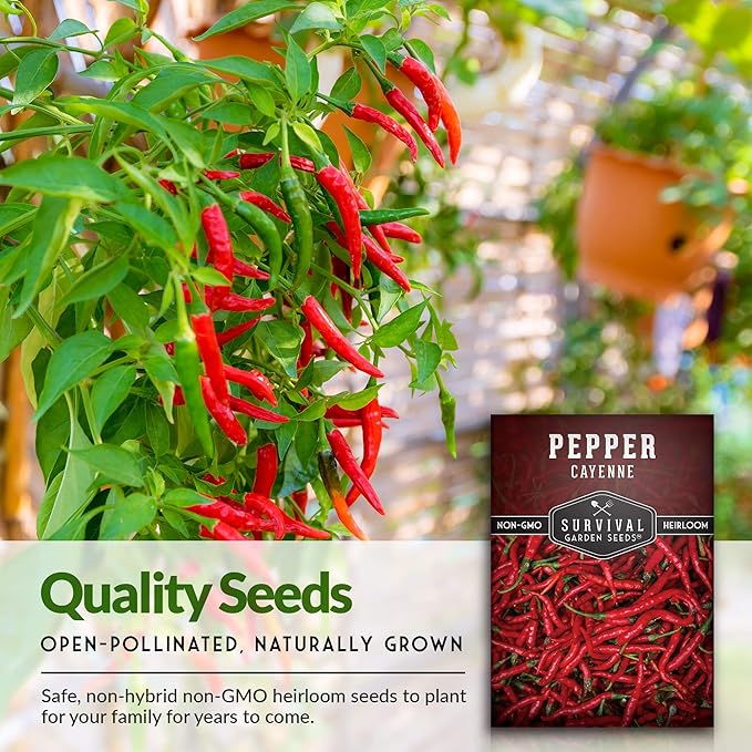 Survival Garden Seeds - Red Cayenne Pepper Seed for Planting - 3 Packets with Instructions to Plant and Grow Hot Chili Peppers in Your Home Vegetable Garden - Non-GMO Heirloom Variety - Chili Seed