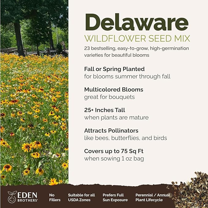 Eden Brothers Delaware Wildflower Mixed Seeds for Planting, 1 oz, 30,000+ Seeds with Sweet William, Candytuft | Attracts Pollinators, Plant in Spring or Fall, Zones