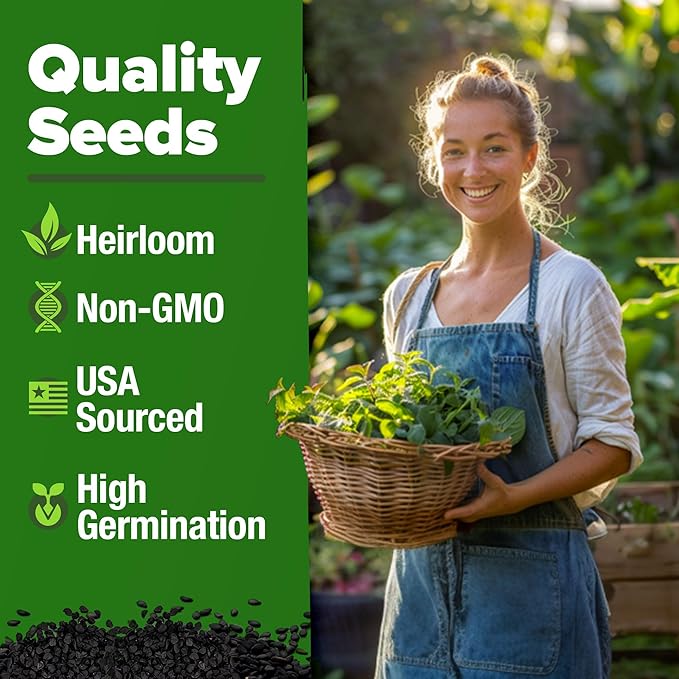 HOME GROWN Lemon Balm Seeds Pack - 806 Non-GMO Heirloom Herbal Tea Seeds - Bulk Lemon Balm Seeds for Planting Herbal Tea Gardens Indoors or Outdoors - USA Sourced Herb Seeds (Melissa officinalis)