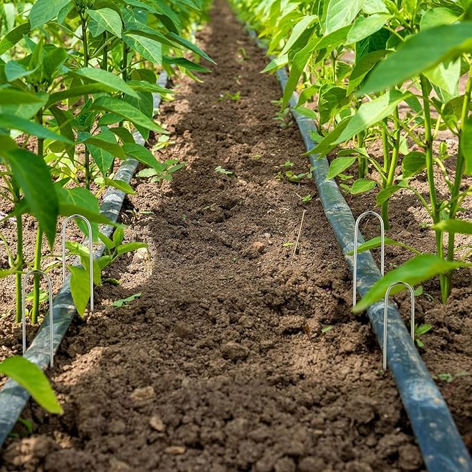 120 PCS Irrigation Drip Tubing Landscape Staples 5 Inch U Shape Garden Stakes Galvanized Landscape Pins for 1/4 Inch Irrigation Hose Lawn Nails 1/4 Inch to 1/2 Inch Loop Stake for Drip Tubing