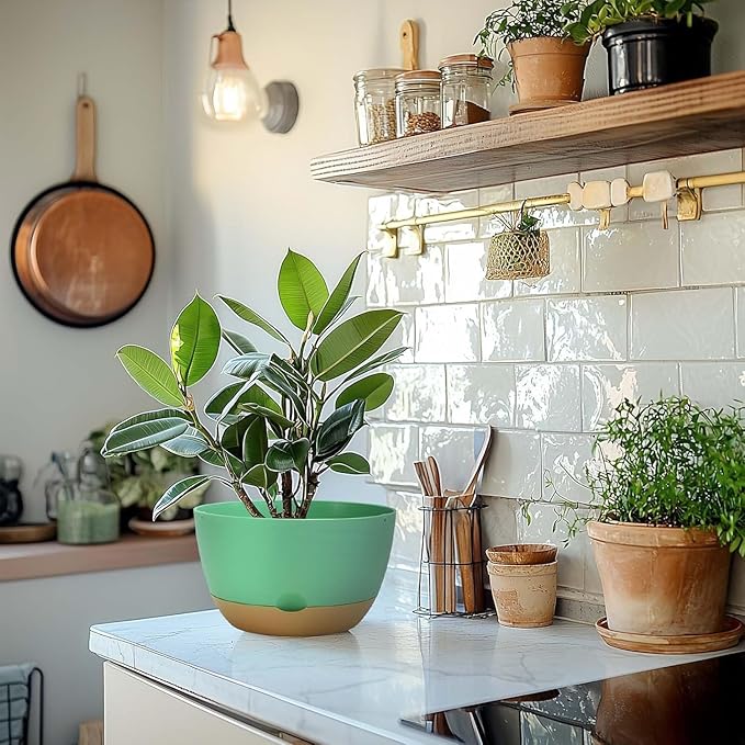 10 Inch Pots for Indoor Plants, Large Self Watering Planters with Drainage and Saucers, Plastic Outdoor Flower Pot, Set of 2, Green