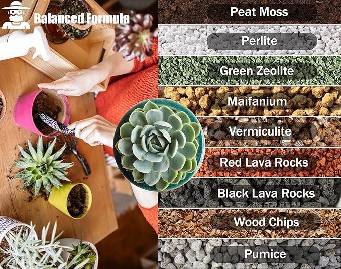 Succulent Soil Potting Mix 2.2 LBS, Optimized PH Fast Draining with Added Nutrients, Perfect for Small Succulent Pots