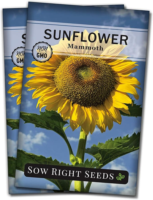 Sow Right Seeds - Mammoth Sunflower Seeds to Plant - Grow Giant Sunflowers in Your Garden - Non-GMO Heirloom Seeds for Planting an Outdoor Garden - Bright Yellow Blooms - Attract Bees and Birds (2)