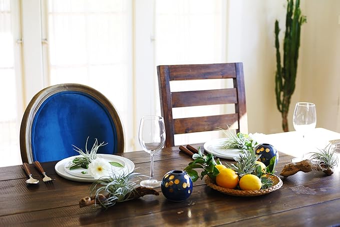 Shop Succulents | Assorted Collection | Variety of Species, Tropical House Plant for Home Décor, DIY Terrariums, 100-Pack