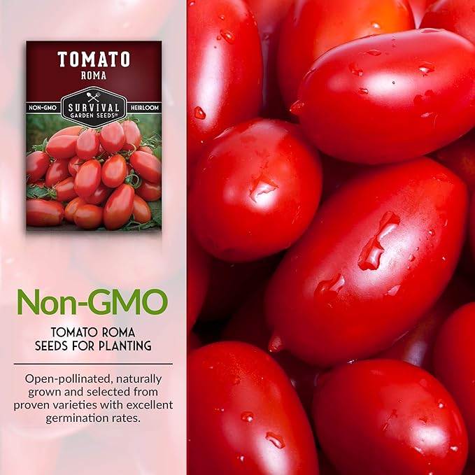 1 Pack Roma Tomato Seeds for Planting with Instructions to Grow Italian Roma Tomatoes in Your Home Vegetable Garden - Canning Favorite - Non-GMO Heirloom - Survival Garden Seeds
