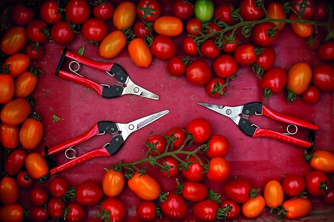 FELCO F-2 Classic Hand Pruner and FELCO 322 Snips