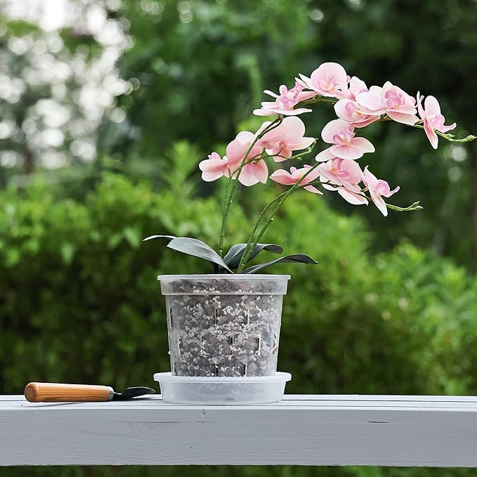 TRUEDAYS 6 Pack Orchid Pot with Saucers, 6 Inch Clear Orchid Pots with Holes, Plastic Planter with Trays, Breathable Slotted Orchids Planters for Indoor Outdoor Plants