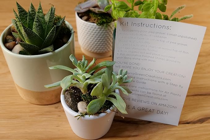 Succulent Planter Kit - Terrarium Kit with Succulent Soil, Gravel, Pebble, Moss,