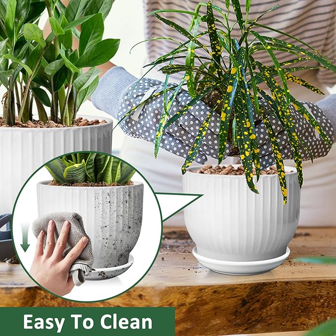 6.7 + 5.5 Inch Plant Pot, Ceramic Planter with Drainage and Saucer, Ceramic Pots for Plants, Indoor Plant pots,Ceramic Flower pots(Pure White, Plants NOT Included)