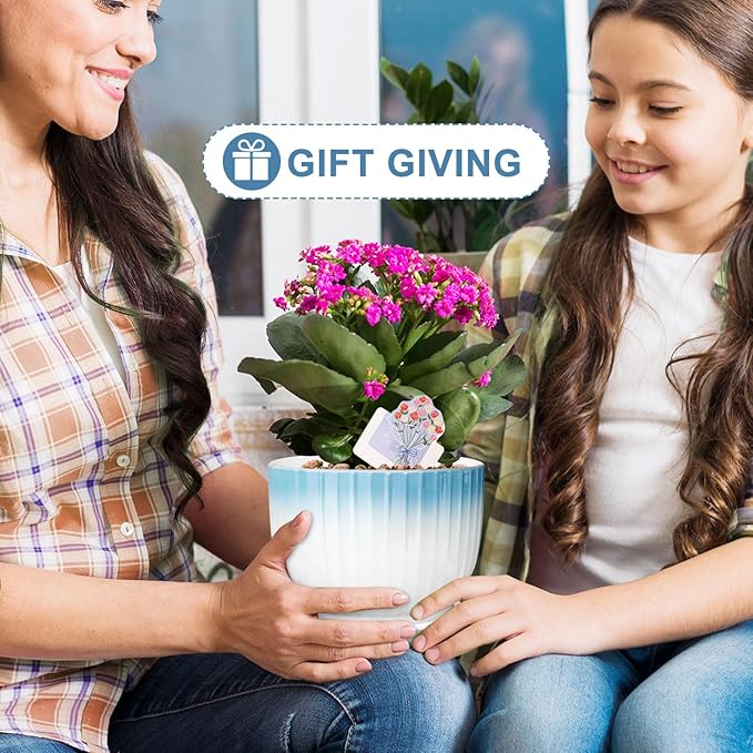 6.7 + 5.5 Inch Plant Pot, Ceramic Planter with Drainage and Saucer, Ceramic Pots for Plants, Indoor Plant pots,Ceramic Flower pots(Blue + White, Plants NOT Included)