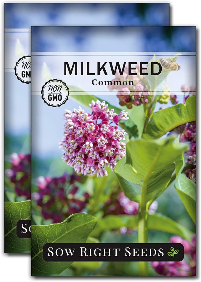 Sow Right Seeds - Common Milkweed Seeds for Planting - Attract Monarch Butterflies to Your Garden - Non-GMO Heirloom Seed Packet with Full Instructions to Plant - Perennial Plant for Pollinators (2)