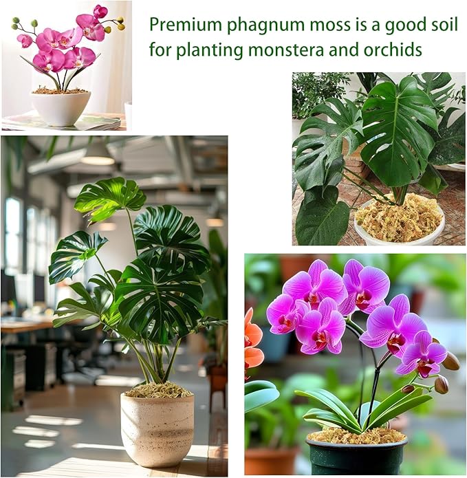 2.2LBS Premium Sphagnum Moss, Reptiles Dried Moss, Plants Propagation Plant Growing Medium for Monstera Orchid Potting Mix (Appx 55 QT)