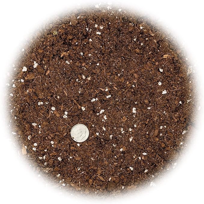 Citrus Tree Potting Soil Mix, Special Blend for Indoor Oranges, Lemons, Limes and More - (5 Quart Bag)