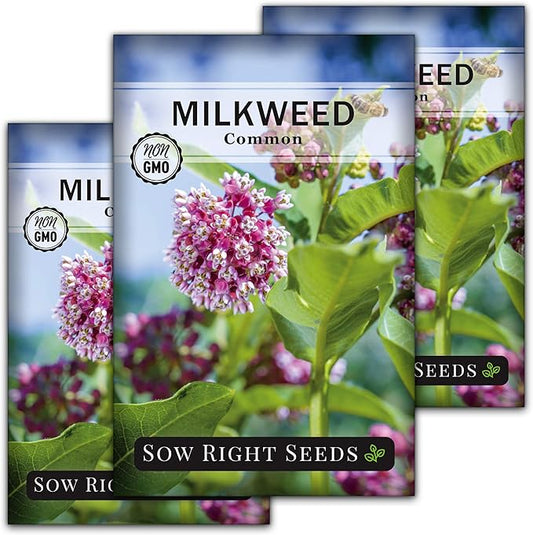 Sow Right Seeds - Common Milkweed Seeds for Planting - Attract Monarch Butterflies to Your Garden - Non-GMO Heirloom Seed Packet with Full Instructions to Plant - Perennial Plant for Pollinators (3)