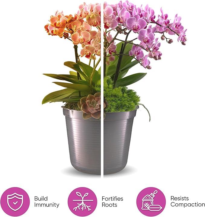 Molly's Orchid Mix - Premium Soilless Potting Mix for Orchids - Contains Bark, Coco Chips, Akadama, Pumice, Lava Rock 3 Dry Quarts