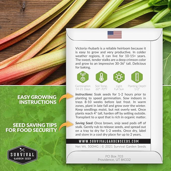 Survival Garden Seeds - Victoria Rhubarb Seed for Planting - 2 Packets with Instructions to Plant and Grow Cold-Tolerant Perennial Spring Vegetables in Your Home Garden - Non-GMO Heirloom Variety