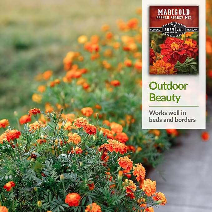 5 Packs French Sparky Marigold Seeds for Planting with Instructions to Grow Large Tagetes Patula Flowers in Your Home Vegetable Garden - Non-GMO Heirloom - Survival Garden Seeds