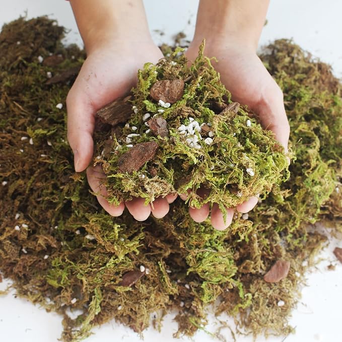 6QT Orchid Potting Mix with Moss Pine Bark Mulch Perlite & Coco Peat Natural Ingredients, Orchid Repotting Soil Medium Great for Indoor Plant Root Climbing & Expanding