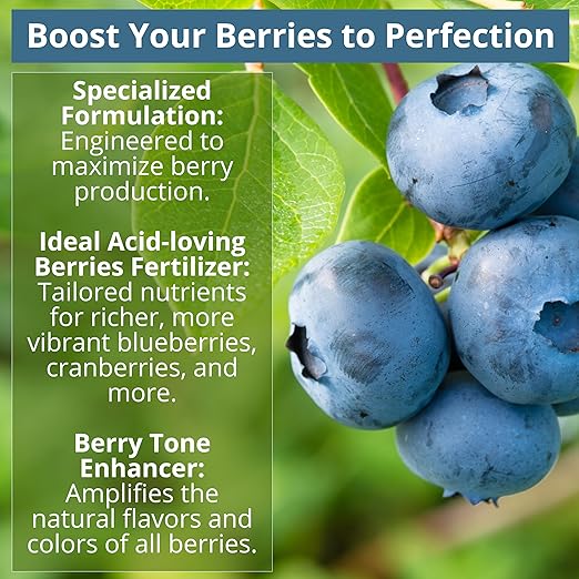 8-4-8 Acidic Fertilizer for Azaleas, Camellias (Camelia), Hydrangeas, Blueberries, Gardenias, Magnolia Trees, Evergreens, and Rhododendrons - Ideal Iron-Rich Plant Food (5 QUARTS)