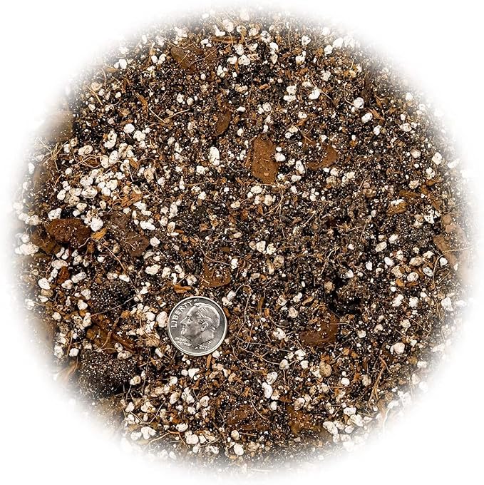 Premium Spider Plant Potting Soil Mix - (5 Quart Bag)